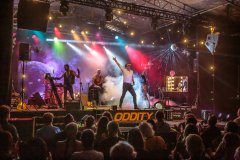 Premiera spektaklu "Trzecioligowy życia król". Impart, Wrocław. reż. Łukasz Czuj. fot. Jacek Zych / Dziennik Wałbrzych